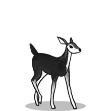 自动发货快的{固定网站名称23}